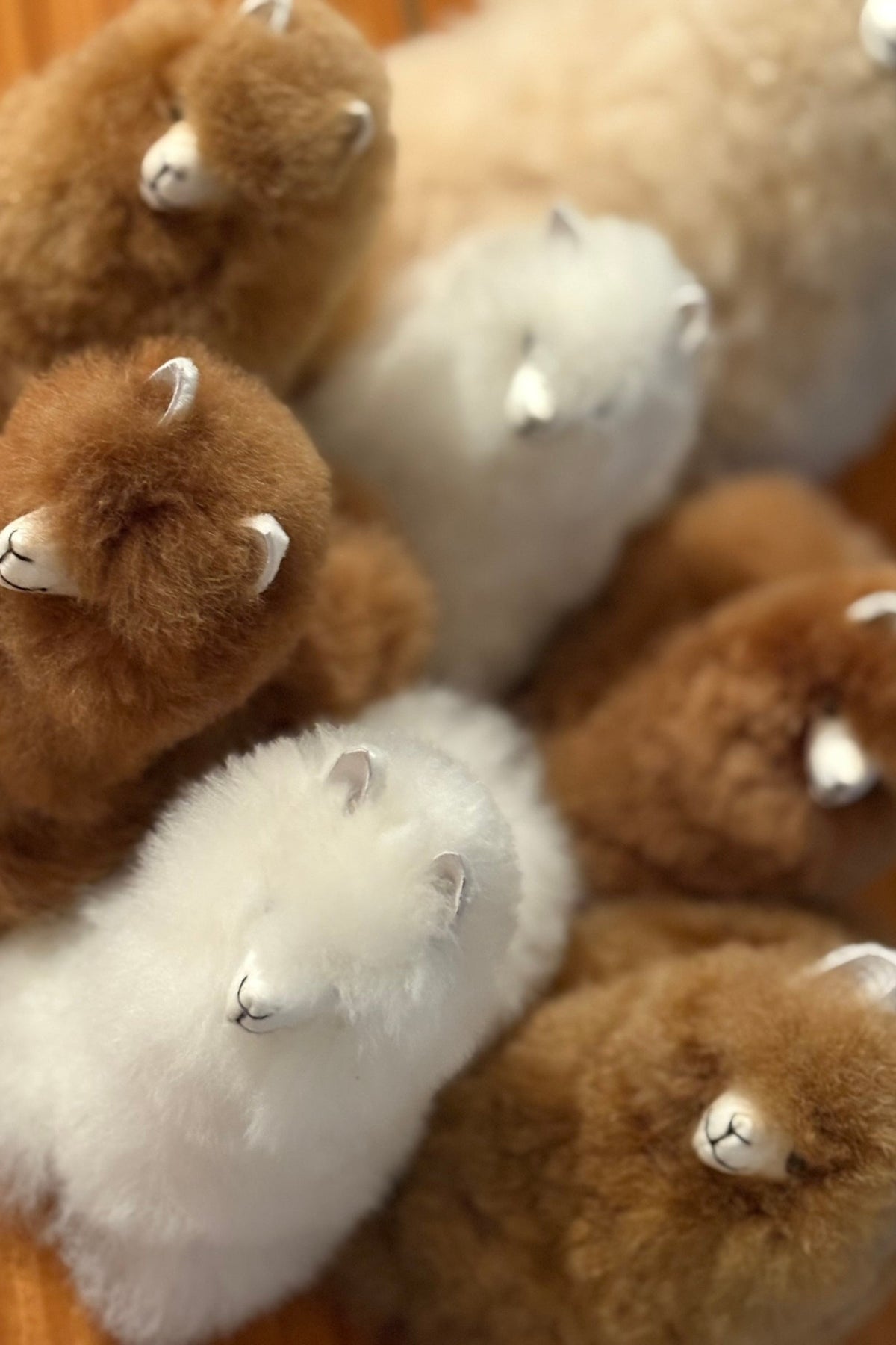Plushes-93