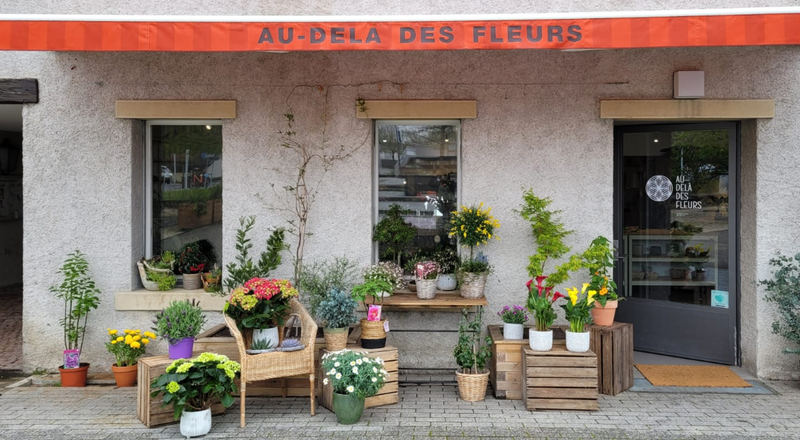 AU-DELÀ DES FLEURS